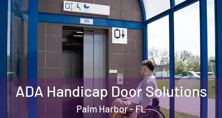 ADA Handicap Door Solutions Palm Harbor - FL