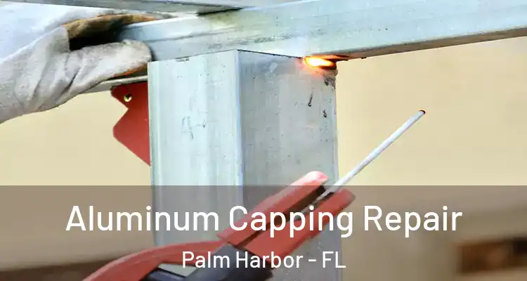 Aluminum Capping Repair Palm Harbor - FL