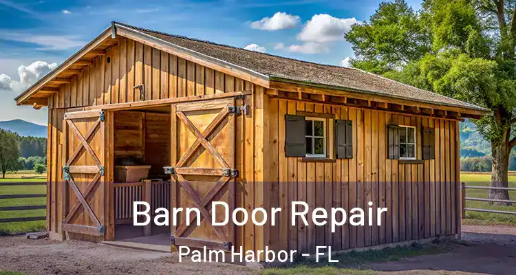 Barn Door Repair Palm Harbor - FL