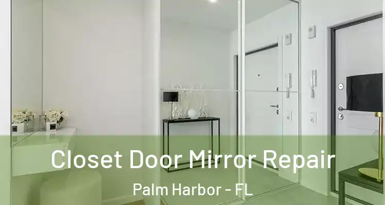 Closet Door Mirror Repair Palm Harbor - FL