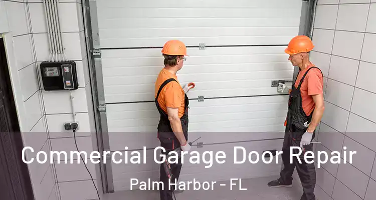 Commercial Garage Door Repair Palm Harbor - FL