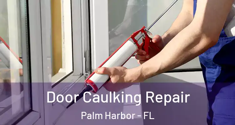 Door Caulking Repair Palm Harbor - FL