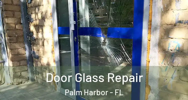 Door Glass Repair Palm Harbor - FL