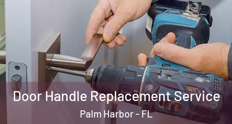 Door Handle Replacement Service Palm Harbor - FL
