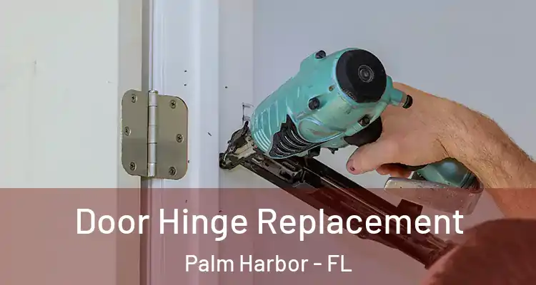 Door Hinge Replacement Palm Harbor - FL