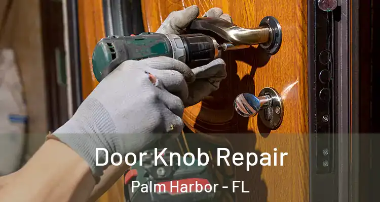 Door Knob Repair Palm Harbor - FL