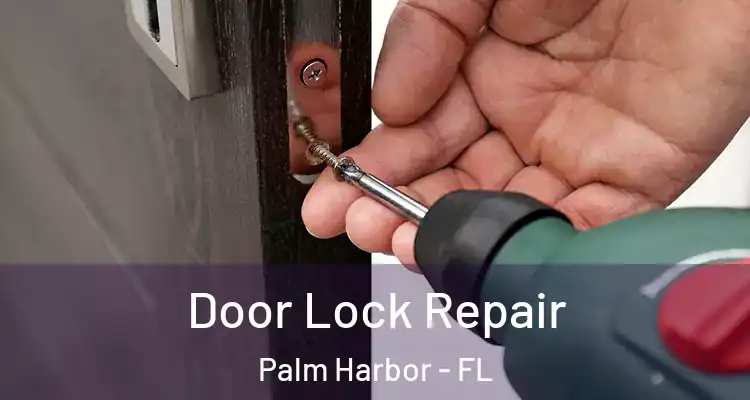 Door Lock Repair Palm Harbor - FL