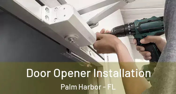 Door Opener Installation Palm Harbor - FL