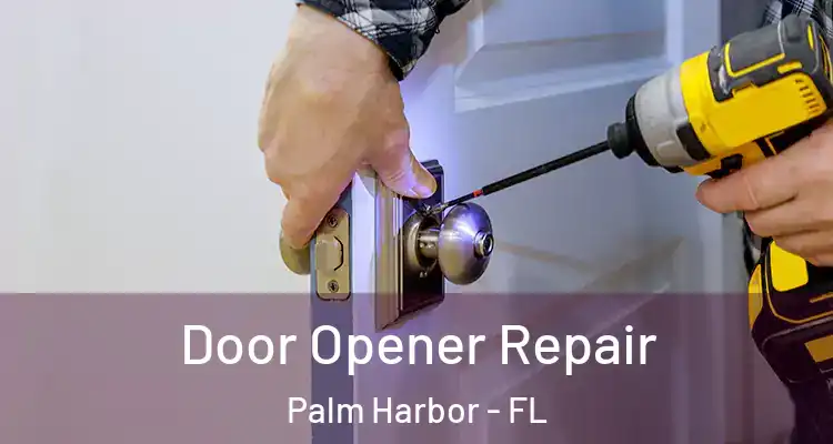 Door Opener Repair Palm Harbor - FL