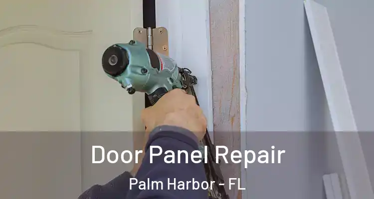 Door Panel Repair Palm Harbor - FL