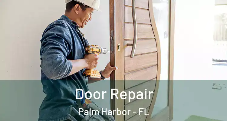 Door Repair Palm Harbor - FL