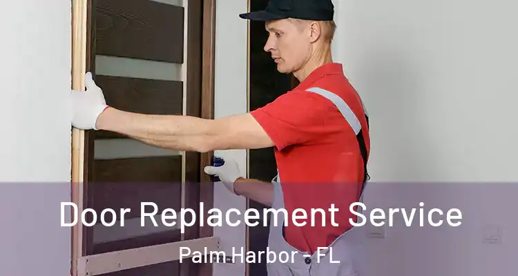 Door Replacement Service Palm Harbor - FL