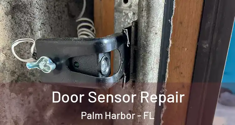 Door Sensor Repair Palm Harbor - FL