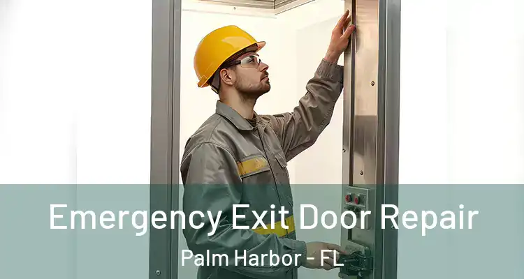 Emergency Exit Door Repair Palm Harbor - FL