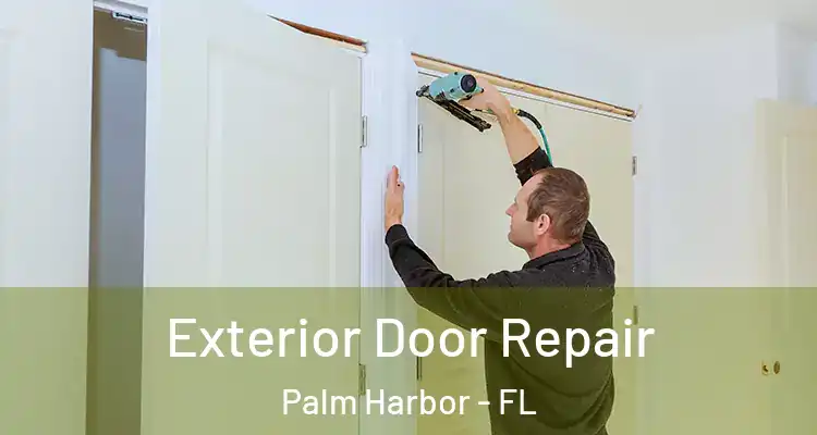 Exterior Door Repair Palm Harbor - FL