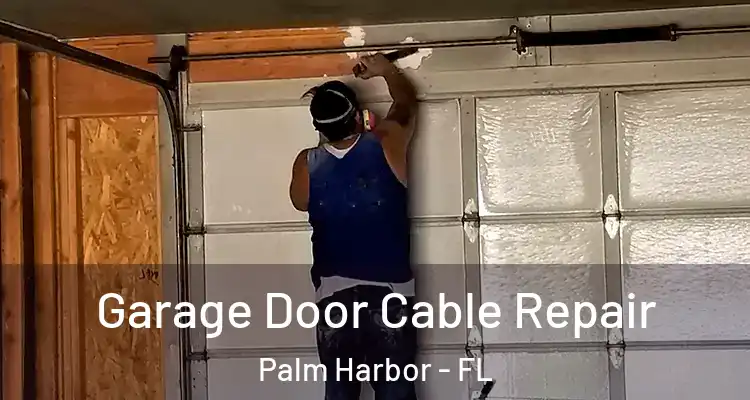 Garage Door Cable Repair Palm Harbor - FL