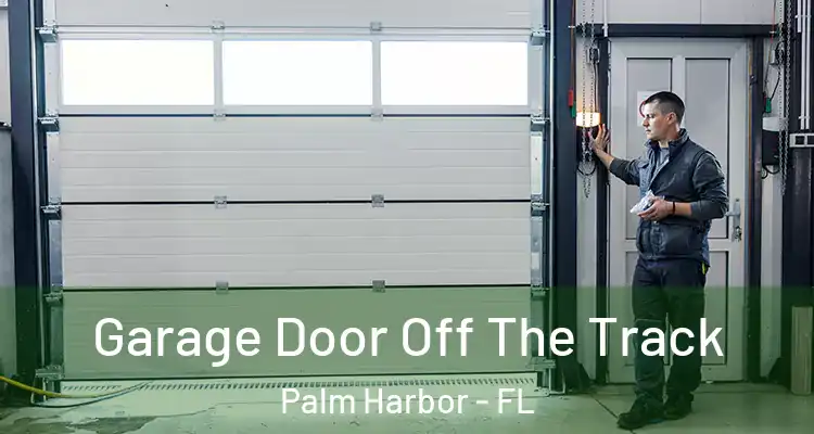 Garage Door Off The Track Palm Harbor - FL