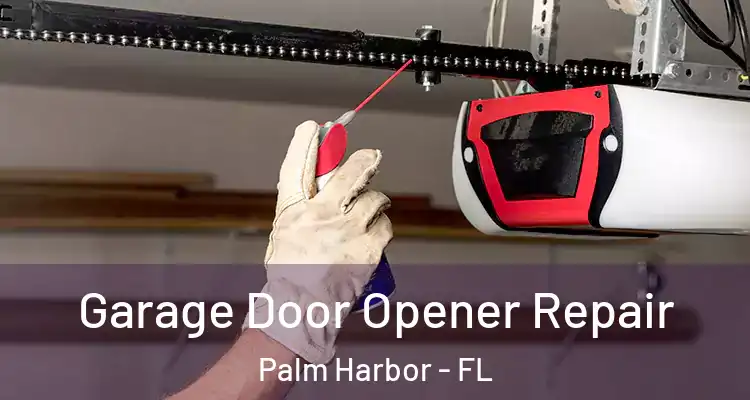 Garage Door Opener Repair Palm Harbor - FL