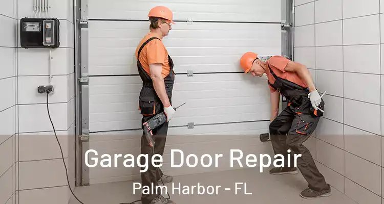 Garage Door Repair Palm Harbor - FL