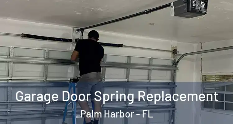 Garage Door Spring Replacement Palm Harbor - FL