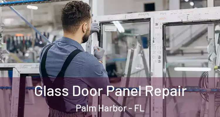 Glass Door Panel Repair Palm Harbor - FL