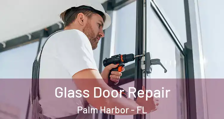 Glass Door Repair Palm Harbor - FL