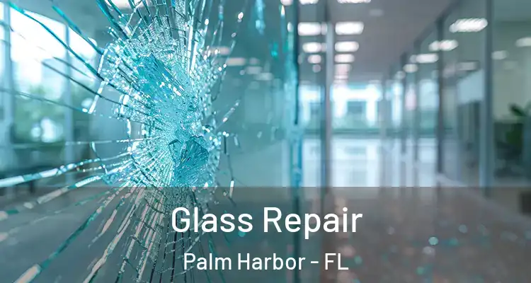 Glass Repair Palm Harbor - FL
