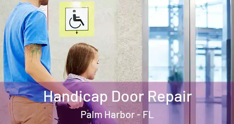 Handicap Door Repair Palm Harbor - FL