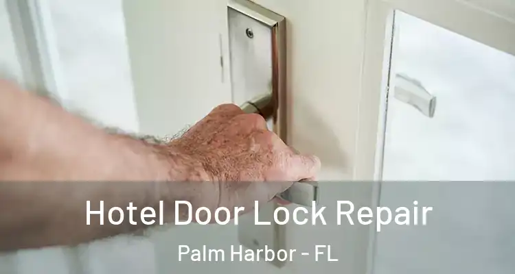 Hotel Door Lock Repair Palm Harbor - FL