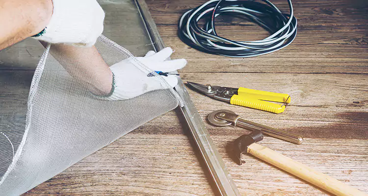 Our Pool Enclosure Mesh Repair Services in Palm Harbor, FL