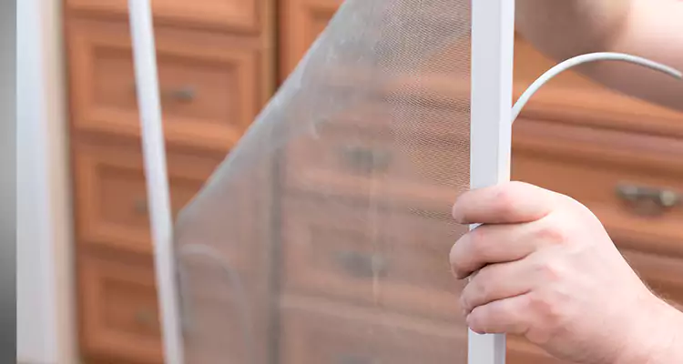 Privacy Mesh Screen Door Installation in Palm Harbor, FL