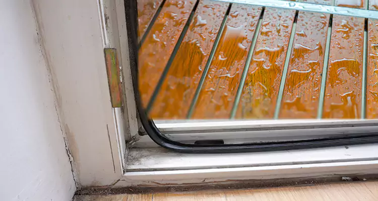 Water Leaking Wooden Patio Doors Repair in Palm Harbor, FL