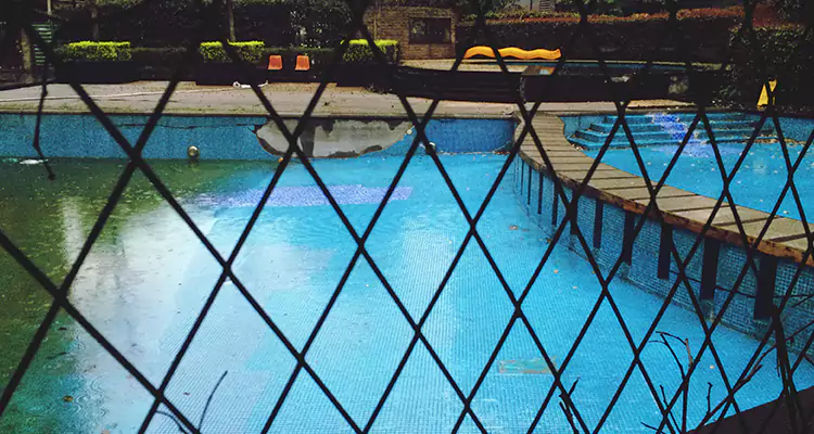 Lanai Screen Repair in Palm Harbor, FL