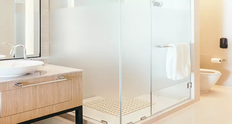 Expert Shower Door Fix and Repair in Palm Harbor, FL