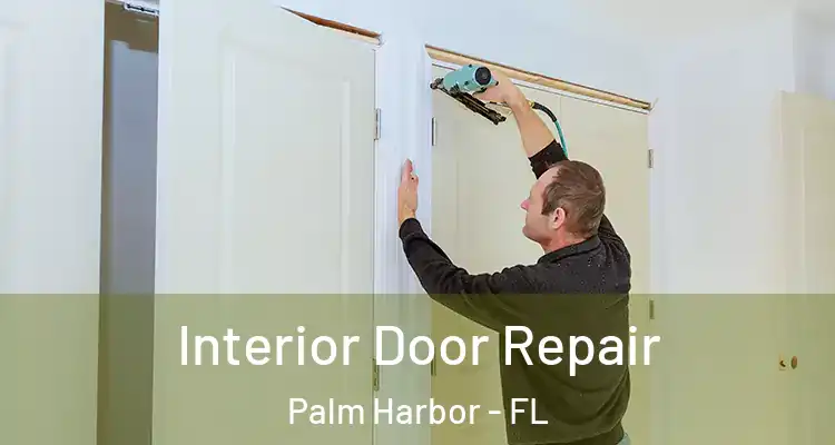 Interior Door Repair Palm Harbor - FL