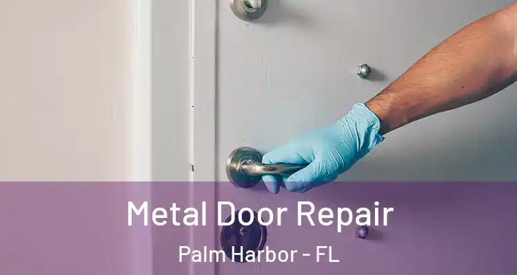 Metal Door Repair Palm Harbor - FL