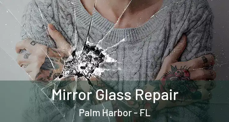 Mirror Glass Repair Palm Harbor - FL