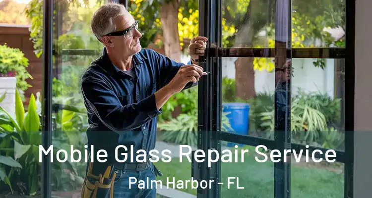 Mobile Glass Repair Service Palm Harbor - FL