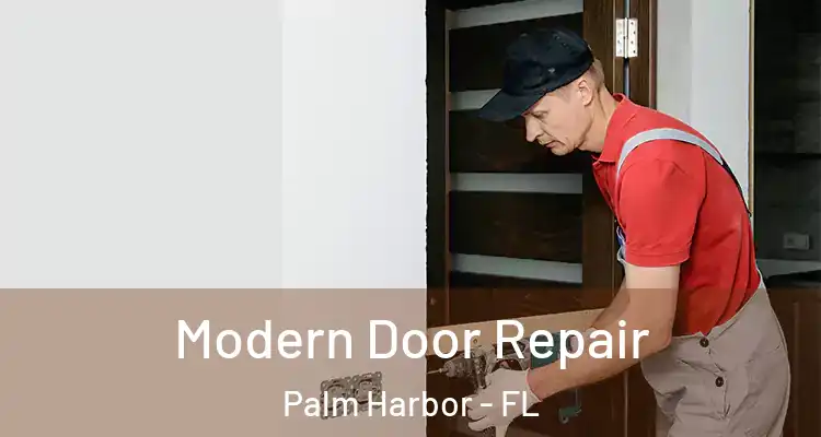 Modern Door Repair Palm Harbor - FL