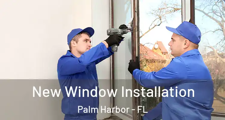 New Window Installation Palm Harbor - FL