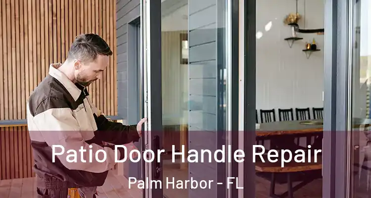 Patio Door Handle Repair Palm Harbor - FL