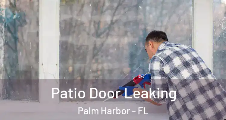 Patio Door Leaking Palm Harbor - FL