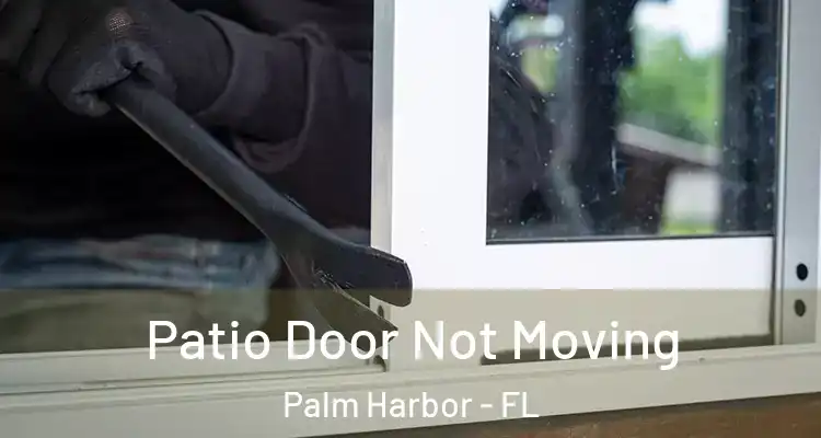 Patio Door Not Moving Palm Harbor - FL