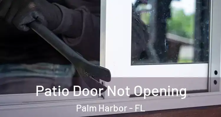 Patio Door Not Opening Palm Harbor - FL