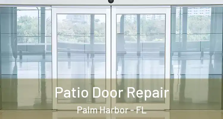 Patio Door Repair Palm Harbor - FL