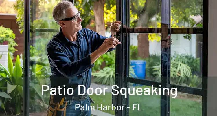 Patio Door Squeaking Palm Harbor - FL
