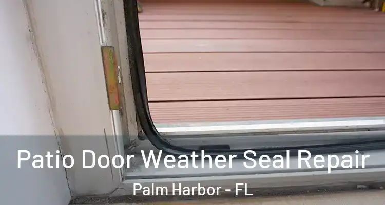 Patio Door Weather Seal Repair Palm Harbor - FL
