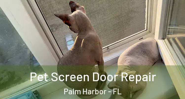 Pet Screen Door Repair Palm Harbor - FL