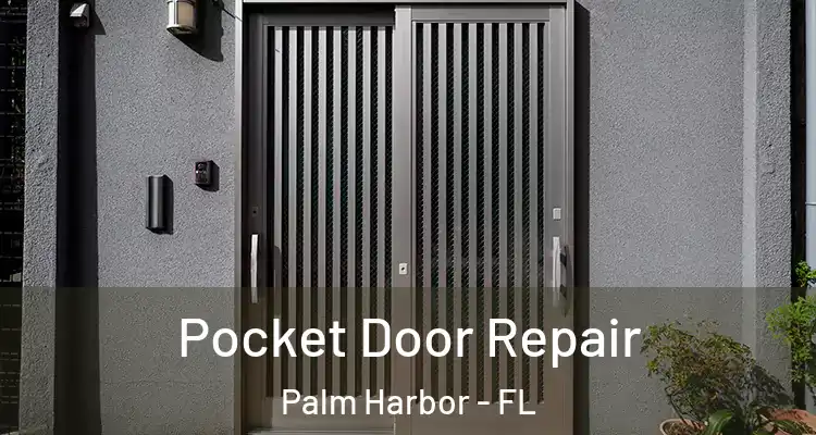 Pocket Door Repair Palm Harbor - FL