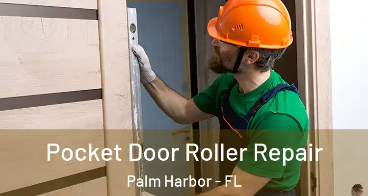 Pocket Door Roller Repair Palm Harbor - FL